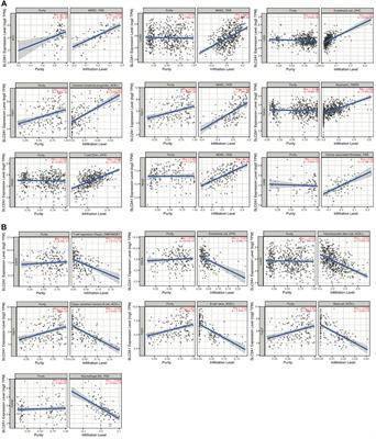 Cell death-related biomarker SLC2A1 has a significant role in prognosis prediction and immunotherapy efficacy evaluation in pan-cancer